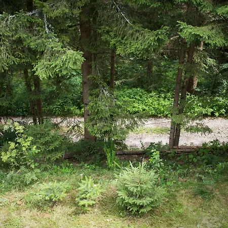 Prázdninový dům Lesná Kokava