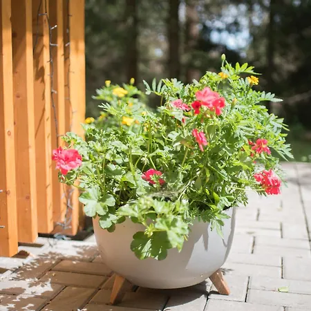 Lesná Kokava Kokava nad Rimavicou