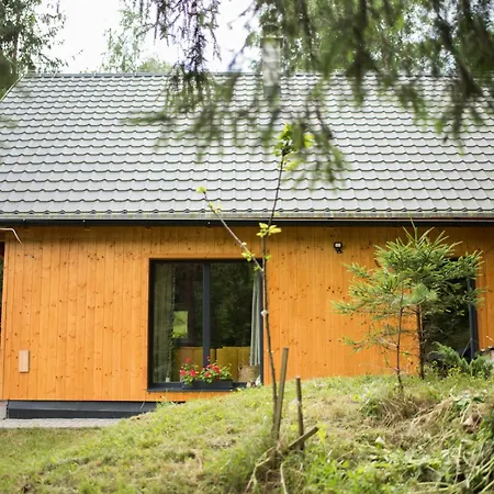 Prázdninový dům Lesná Kokava *