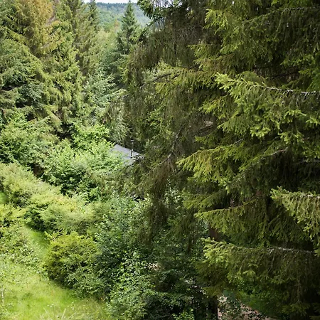 Prázdninový dům Lesná Kokava Kokava nad Rimavicou