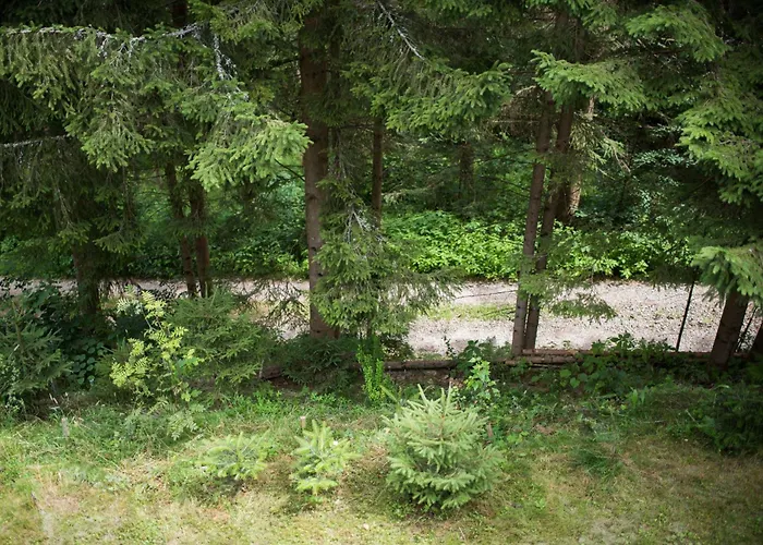 Σπίτι διακοπών Lesna Kokava