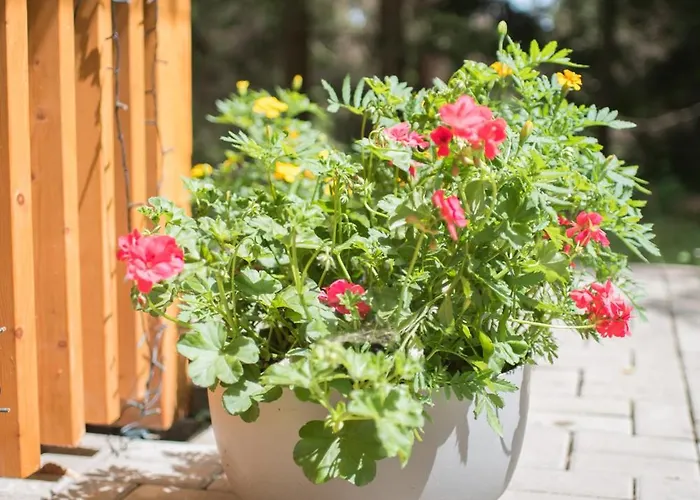 Lesna Kokava Kokava nad Rimavicou