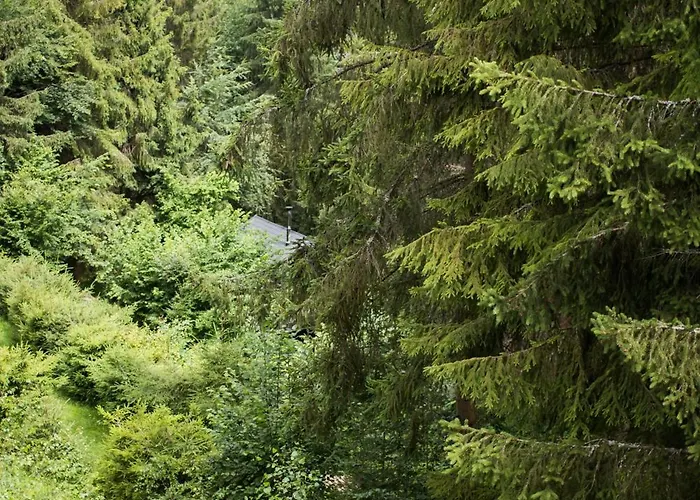 Σπίτι διακοπών Lesna Kokava Kokava nad Rimavicou